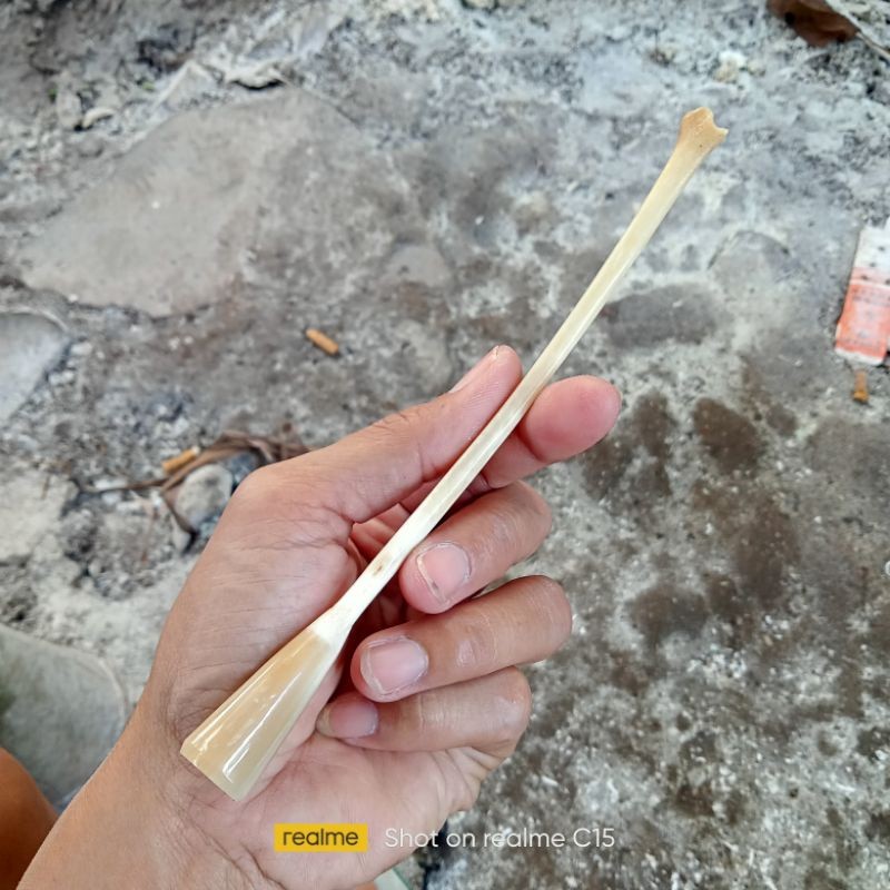 IMRON PRIBADI Pipa Once tulang kalong