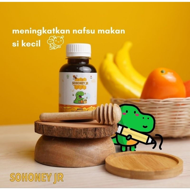 

Sohoney Jr - Multivitamin Penambah Nafsu Makan Anak paket 1 Box - Madu Paling Dicari