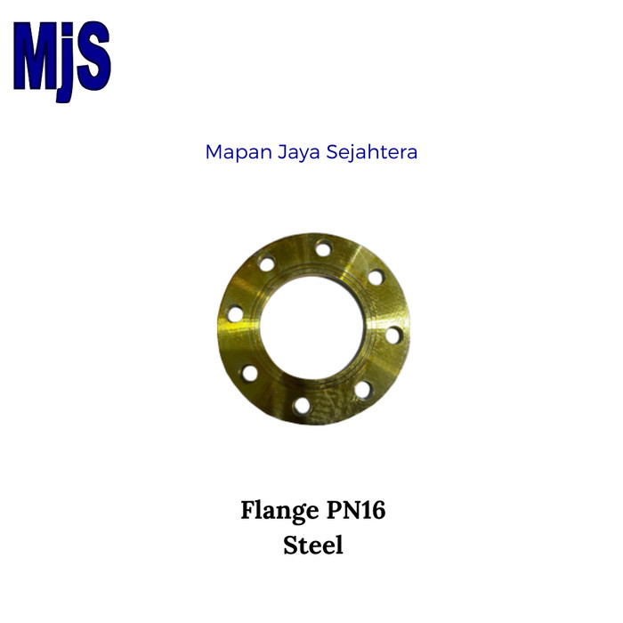 Flange PN16 Dia. 12" Steel / Flange PN16 Besi - MJS