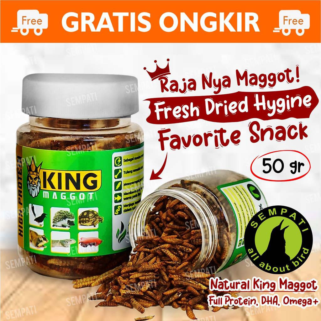 SEMPATI KING MAGGOT SEMPATI BSF SUPER MAGOT MAGGOT KERING DRY FRESH MAGOT PAKAN MAKANAN IKAN ARWANA 