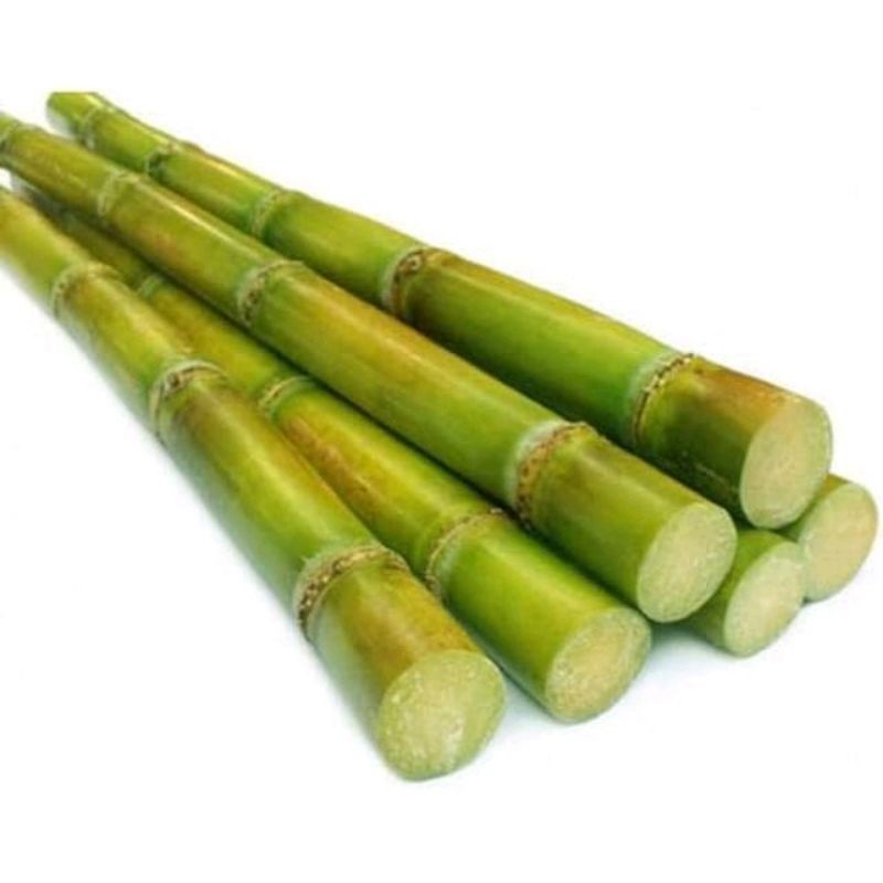 

Termurah TEBU HIJAU FRESH 1KG