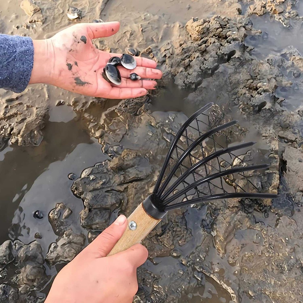 

Harga Paling Terjangkau HelpMate Garpu Kerang Alat Penggali Pasir 5 Cakar - HM12 Barang Terbaik