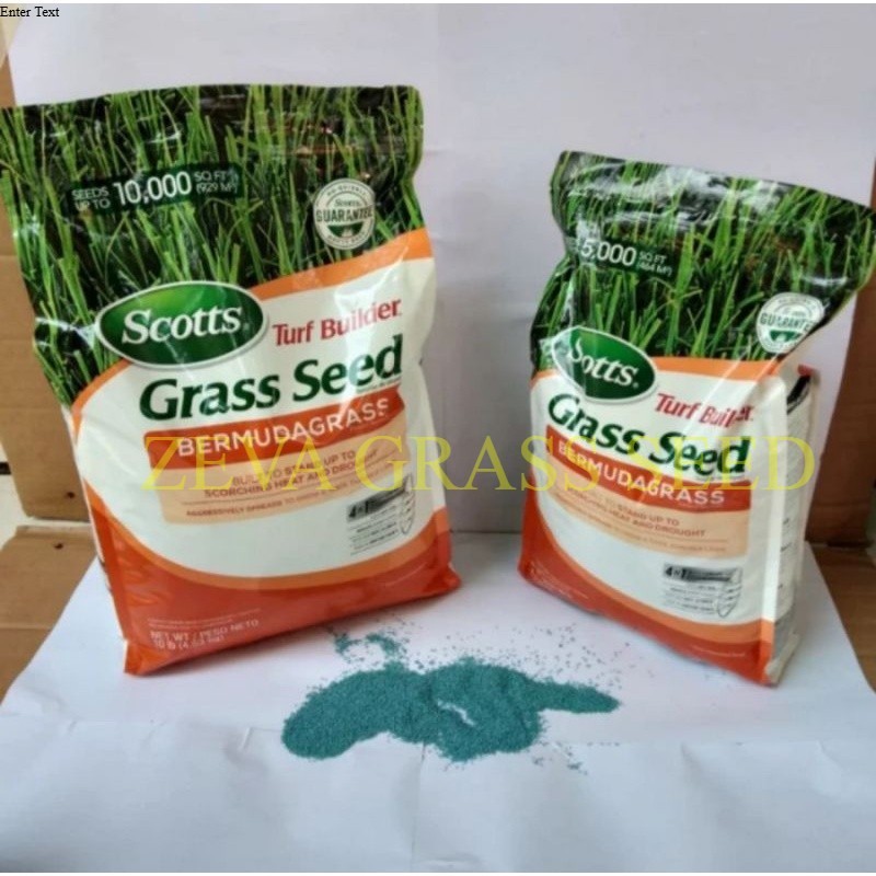 PROMO 50 GRAM Biji rumput jepang - benih rumput jepang - bibit rumput jepang -  bibit rumput swiss