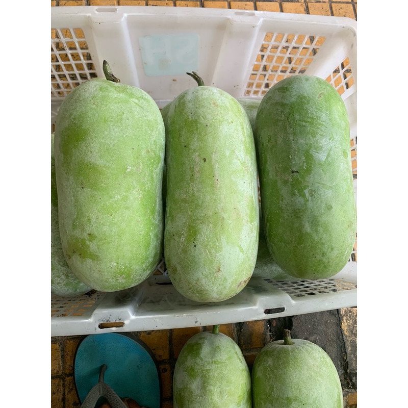 

Bligo / Buah Kundur / Blonceng