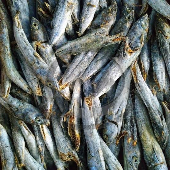

Ikan Asin Layang - Kualitas Super