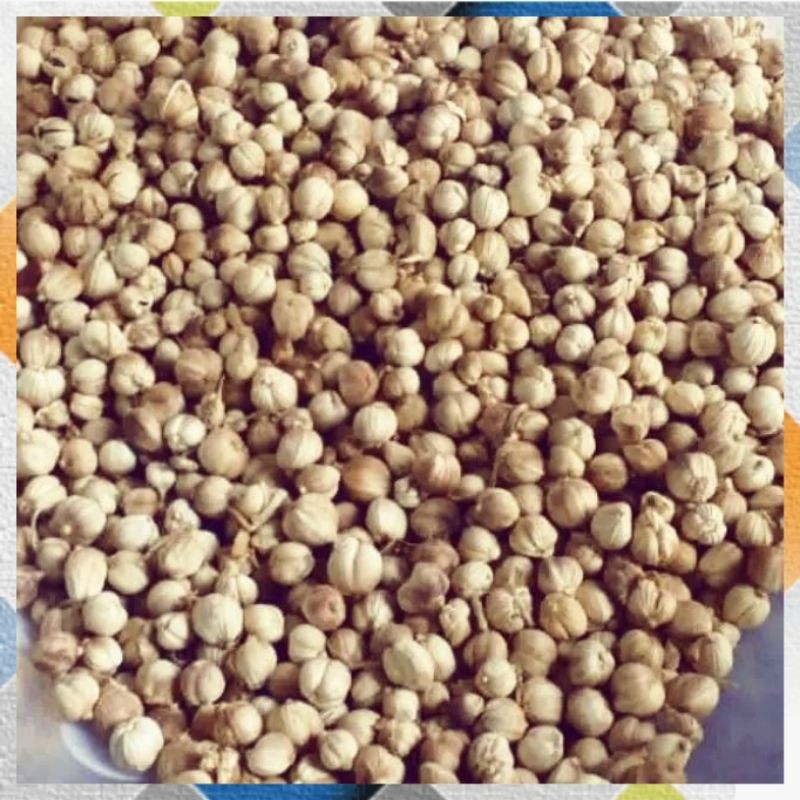 

KAPULAGA/KAPULOGO KERING 1000G/1KG