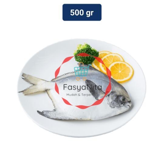 

Ikan Bawal Laut 1 Pack (400 - 550 gr) - Fasyanita Denpasar