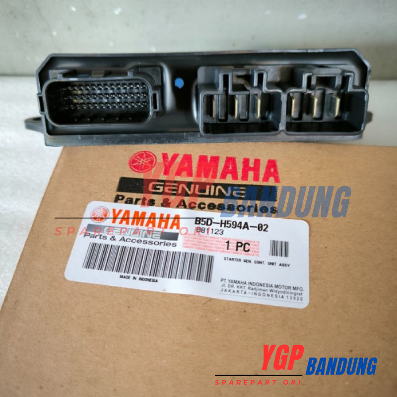 ECU SGCU FREEGO S B5D1 ORIGINAL ORI ASLI YAMAHA YGP B5D-H594A-10