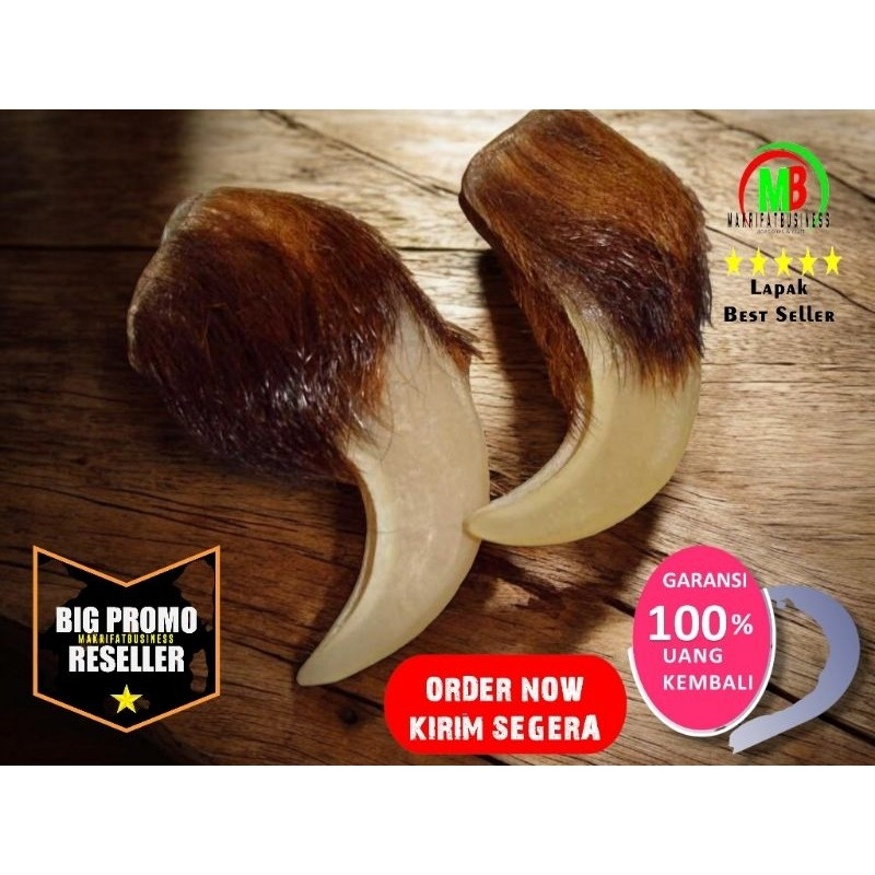 MAKRIFATBUSINESS Liontin KUKU HEWAN