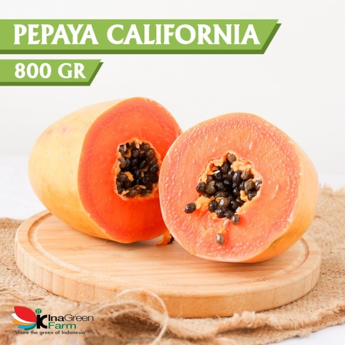 

Inagreen Farm Bandung Buah Pepaya California