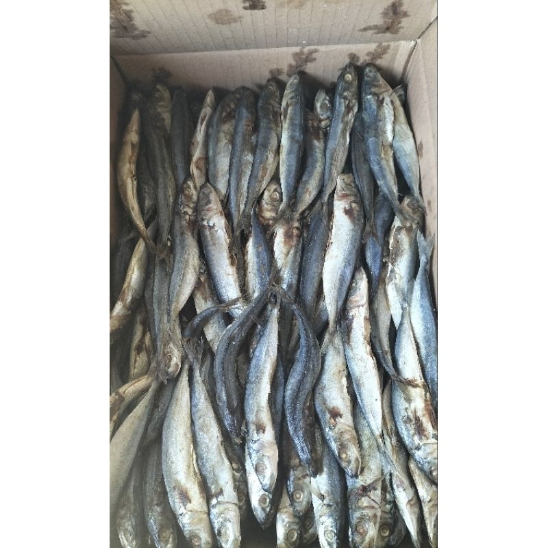 

PREMIUM IKAN ASIN GURIH 1KG IKAN ASIN KLOTOK IKAN ASIN BENGGOL IKAN ASIN LAYANG