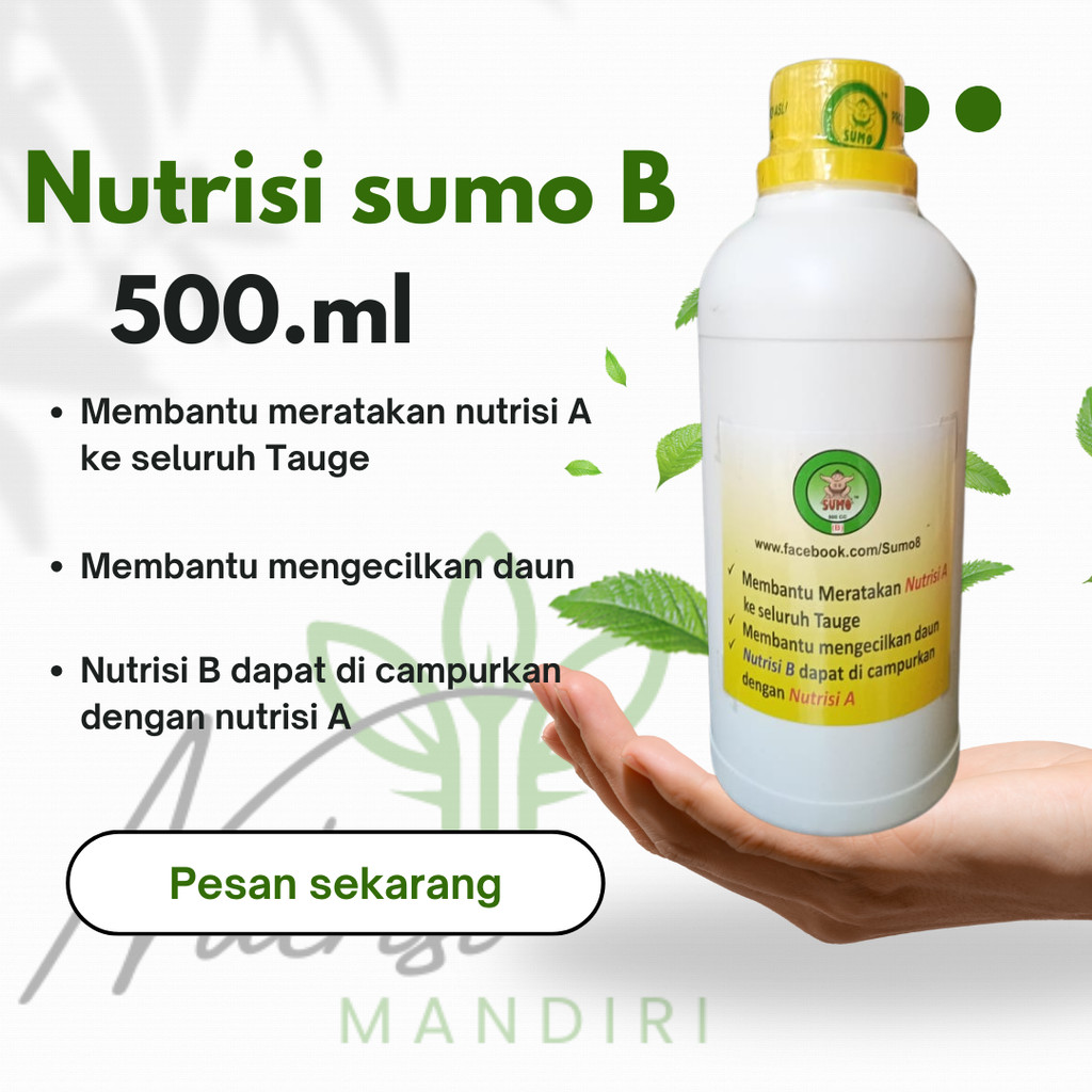 Nutrisi Tauge Sumo Botol B 500.ml
