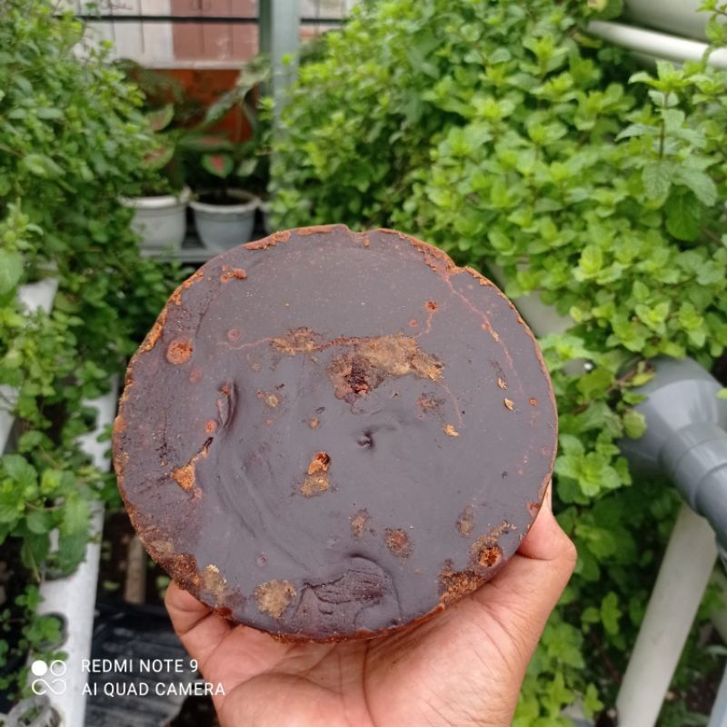 

Gula Aren 250 GRAM produksi petani langsung