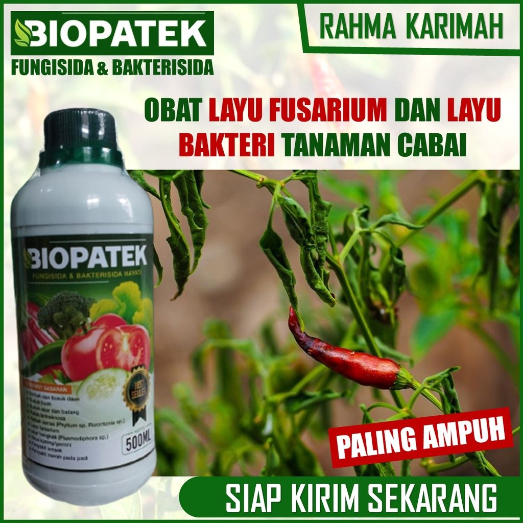 500 ML BIOPATEK Anti Layu Keriting Daun dan Busuk Buah Cabe – Pupuk Atasi Layu Fusarium Daun Cabe – 
