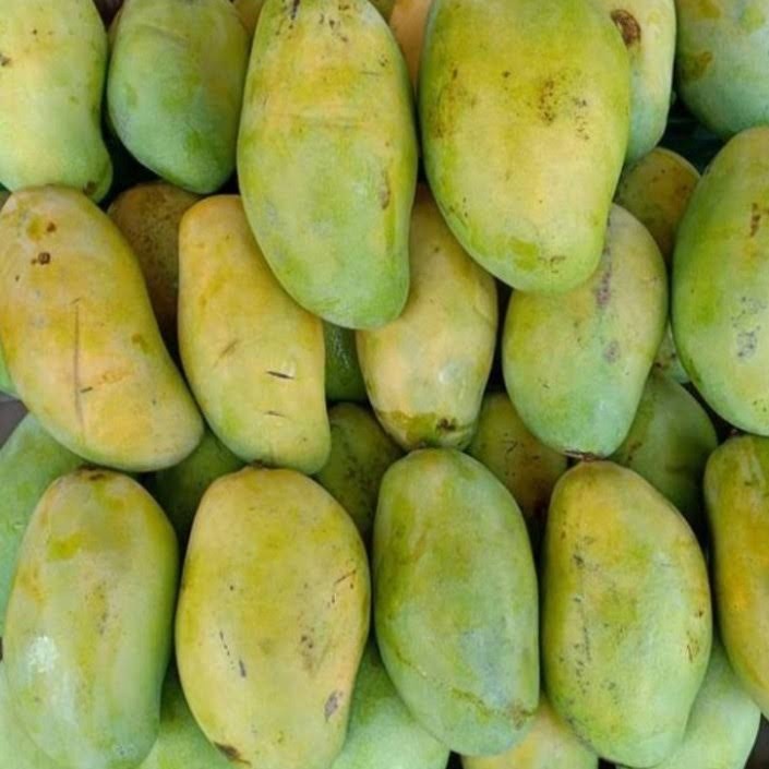

Buah Mangga Budiraja / Mangga Budi Raja Premium - Savina Buah88