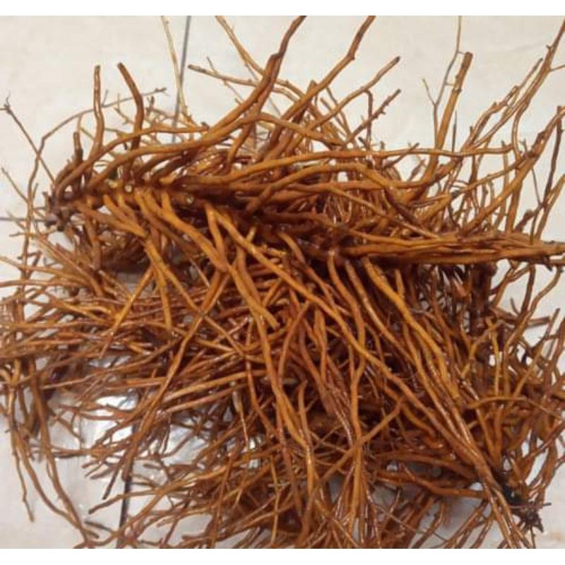 

AKAR TUNJUK LANGIT JUAL PERKILO zam