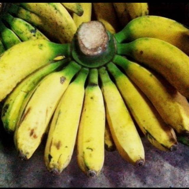 

UD BUAH 3 SAUDARA Buah pisang raja bulu