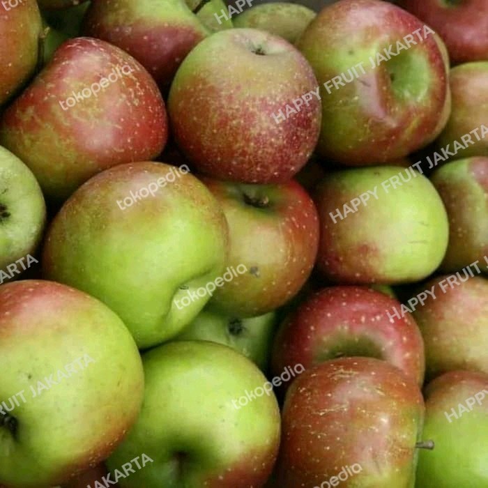 

Buah Nusantara Apel Malang super Jumbo 1kg
