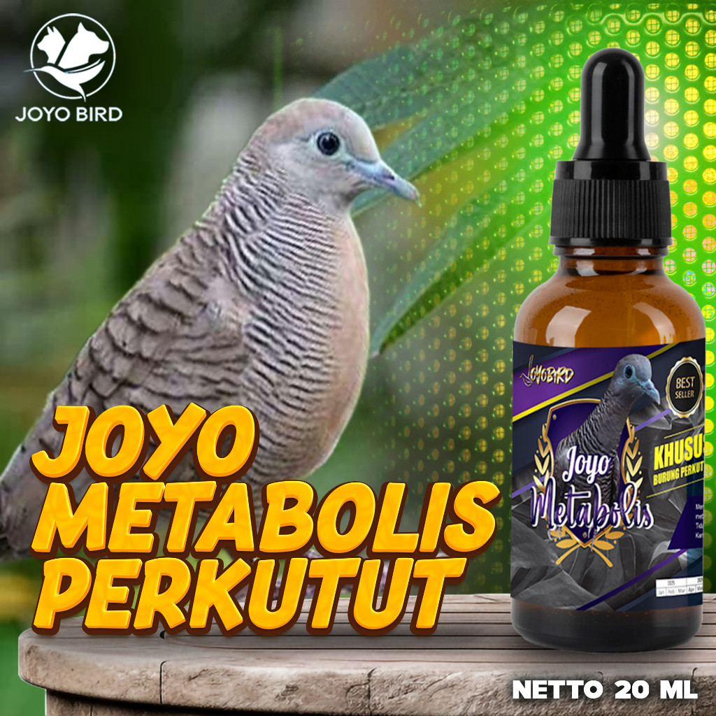 VITAMIN METABOLISME TUBUH BURUNG PERKUTUT | MENJAGA IMUN TUBUH BURUNG | JOYO METABOLIS PERKUTUT 20ML