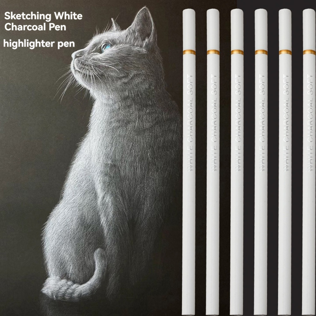 

3/6 Pcs White Charcoal Pencils Soft Drawing Set White Sketch Pencil for Drawing Sketching Chalk Pencils Beginners & Artists