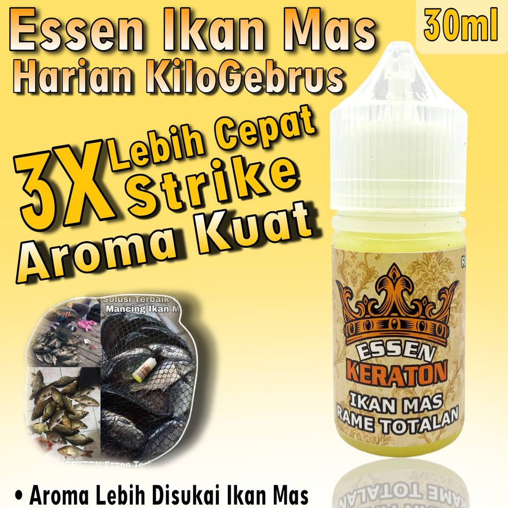 Essen Oplosan Ikan Mas Amis Wangi Paling Bagus Buat Lomba Harian Ikan Rame Dan Indukan, Essen Ikan M