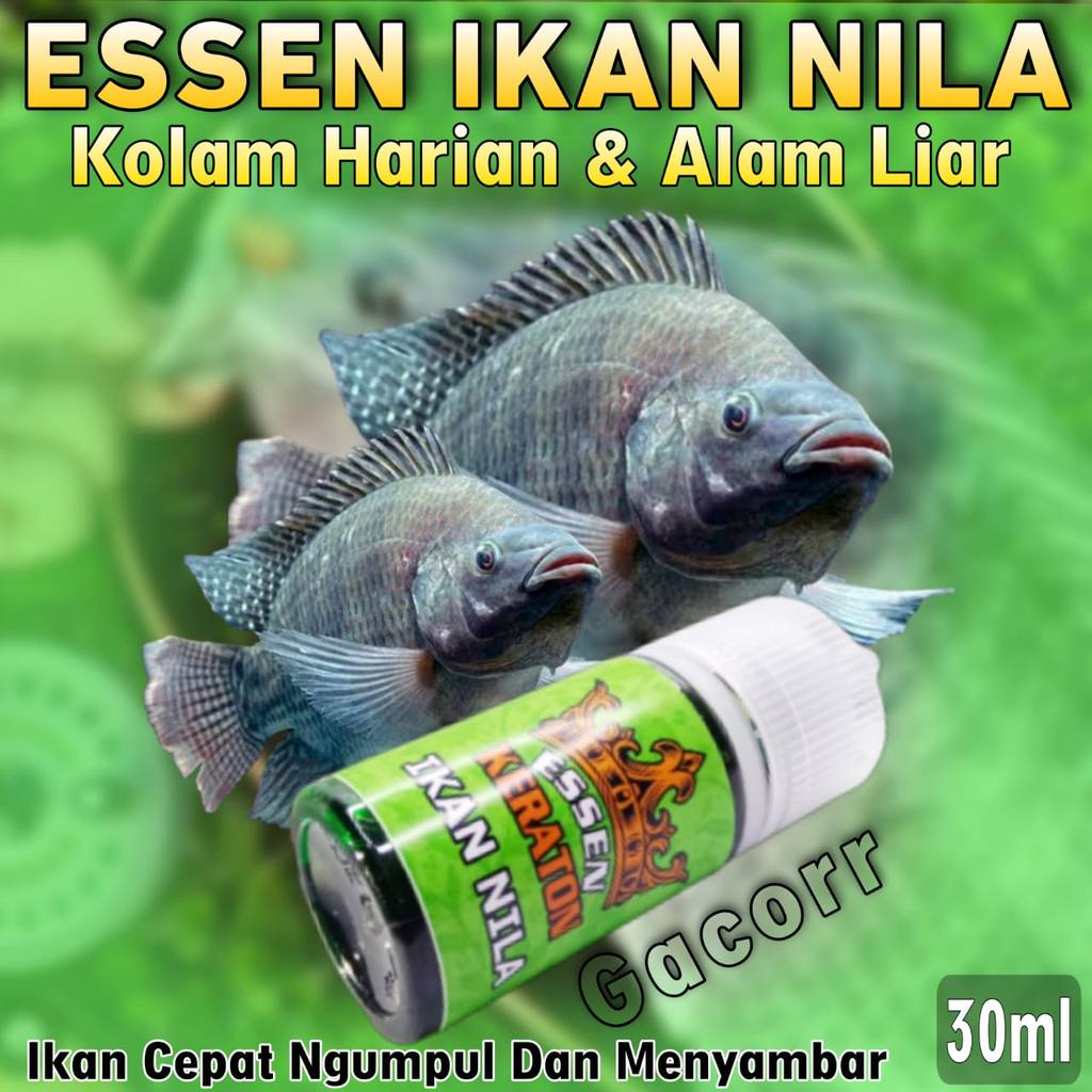 Essen Keraton Khusus Ikan Nila Harian Kolam Dan Alam Liar Paling Ampuh, Essen Ikan Nila Paling Gacor