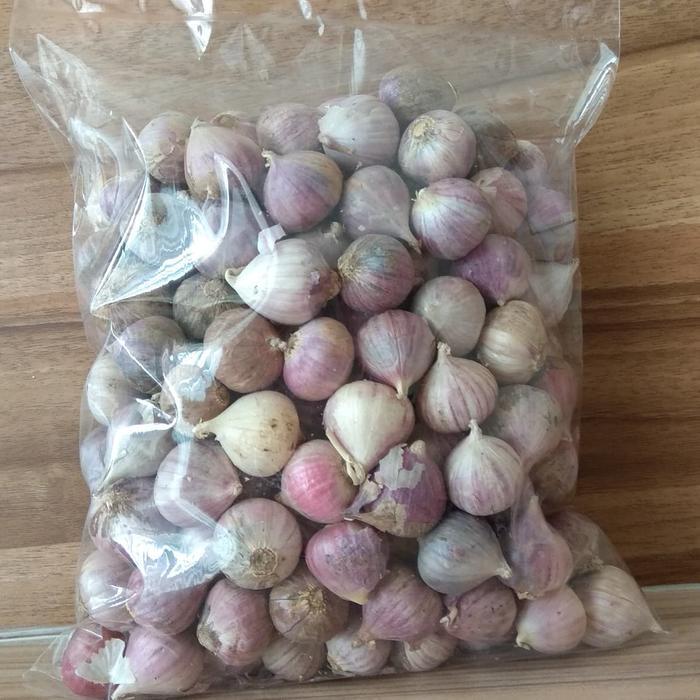 BAWANG PUTIH TUNGGAL 1 kg