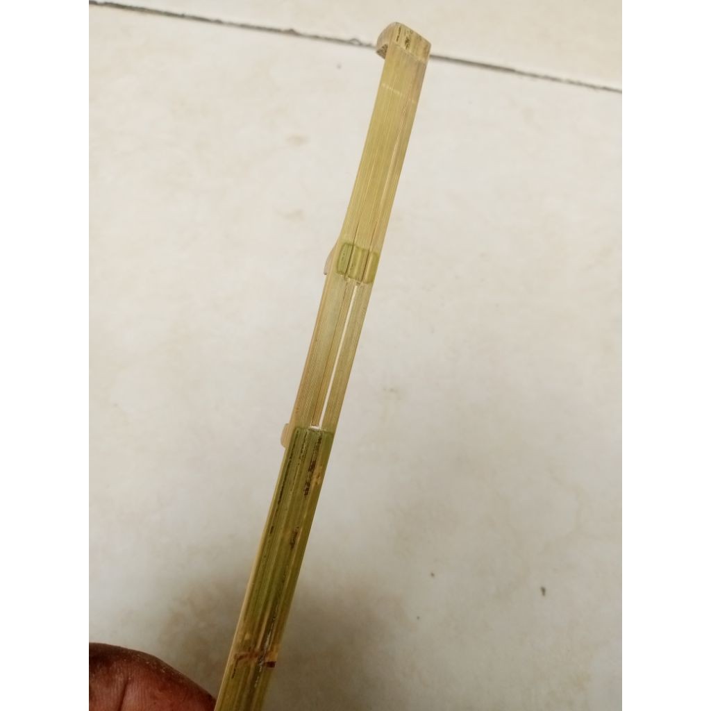 PROMO  karinding alat musik tradisional dari bambu unik jadul natural alami