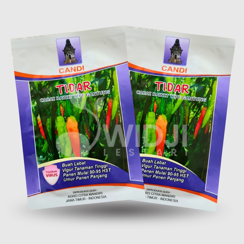 Cabe Tidar Kemasan 10gr Tahan Virus Original Pabrik