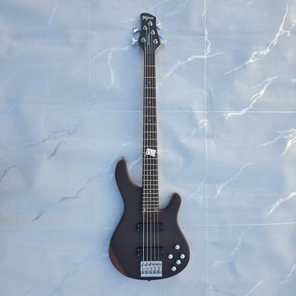 FiveString Electric Guitar, Bass, Electric Bass, Professional Performance
