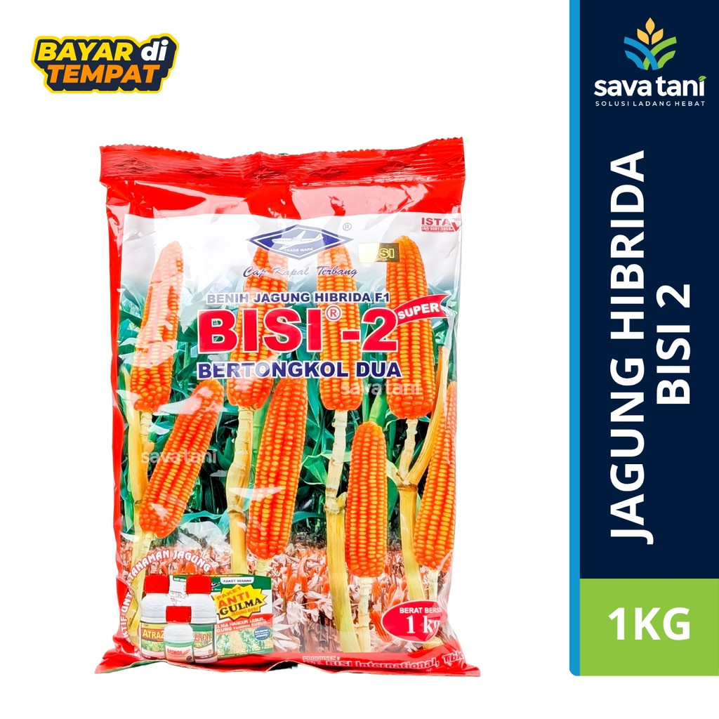 BENIH JAGUNG BISI 2 1KG - CAP KAPAL TERBANG