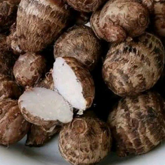 talas mbote enthik ubi talas 1kg