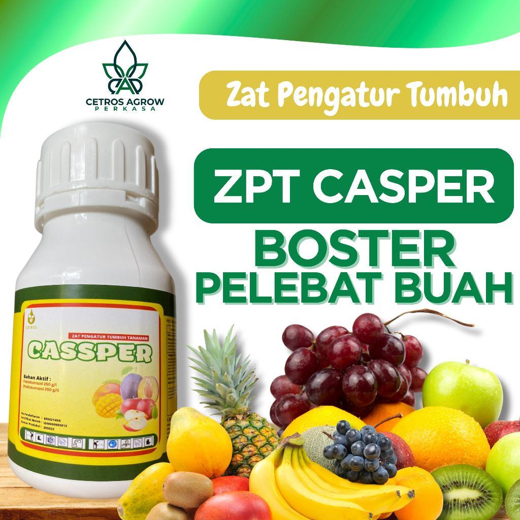 CETROS~ ZPT CASSPER BOOSTER PELEBAT BUAH / CASPER PUPUK PELEBAT BUAH