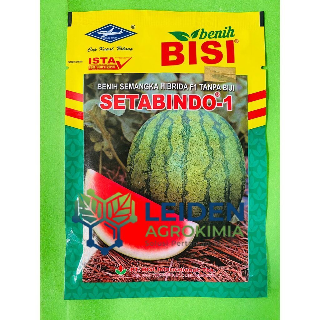 Benih Semangka merah tanpa biji hibrida F1 SETABINDO-1  isi 20gram Cap Kapal Terbang