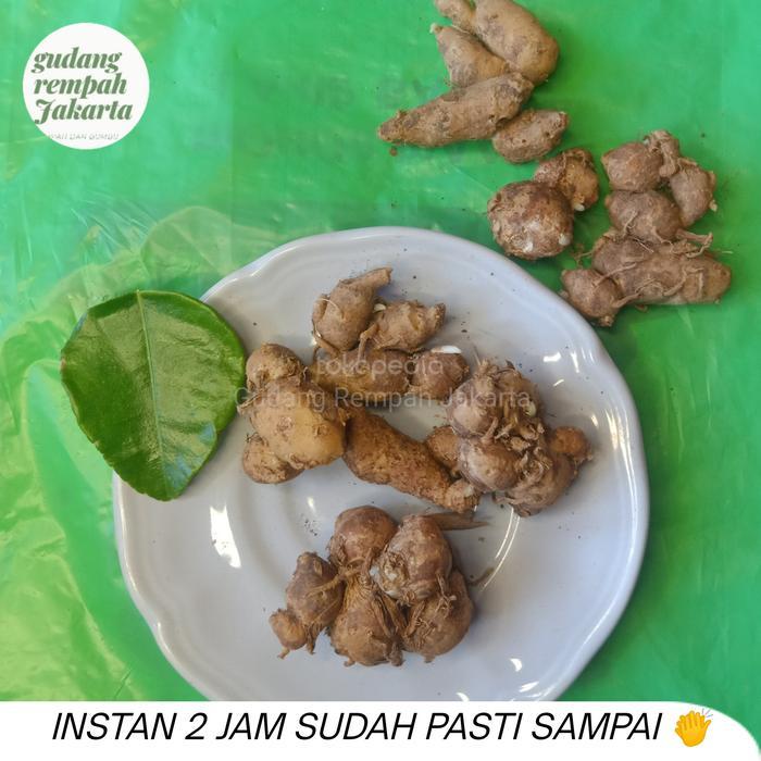 kencur segar 1 kg
