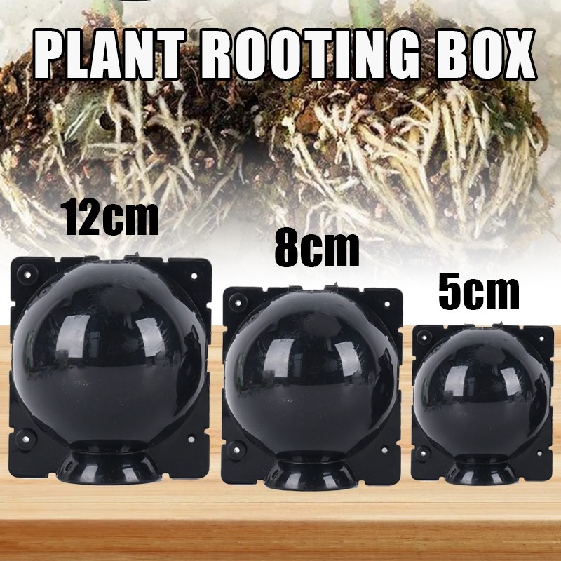 Bola Cangkok Tanaman 5 8 12 Bening Hitam Alat Cangkok Tanaman Pot Bunga Model Bola Pohon Modifikasi