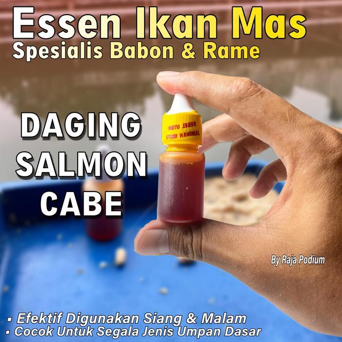 Essen Ikan Mas Harian Paling Jitu