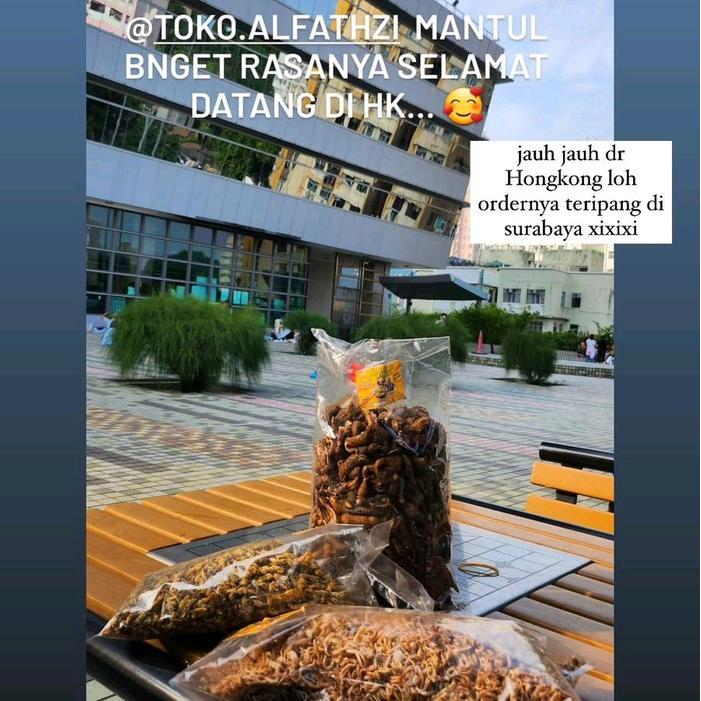 Kerupuk Tripang Asli Renyah 200gr-250gr Laut Snacks Krupuk Kering - 200gr