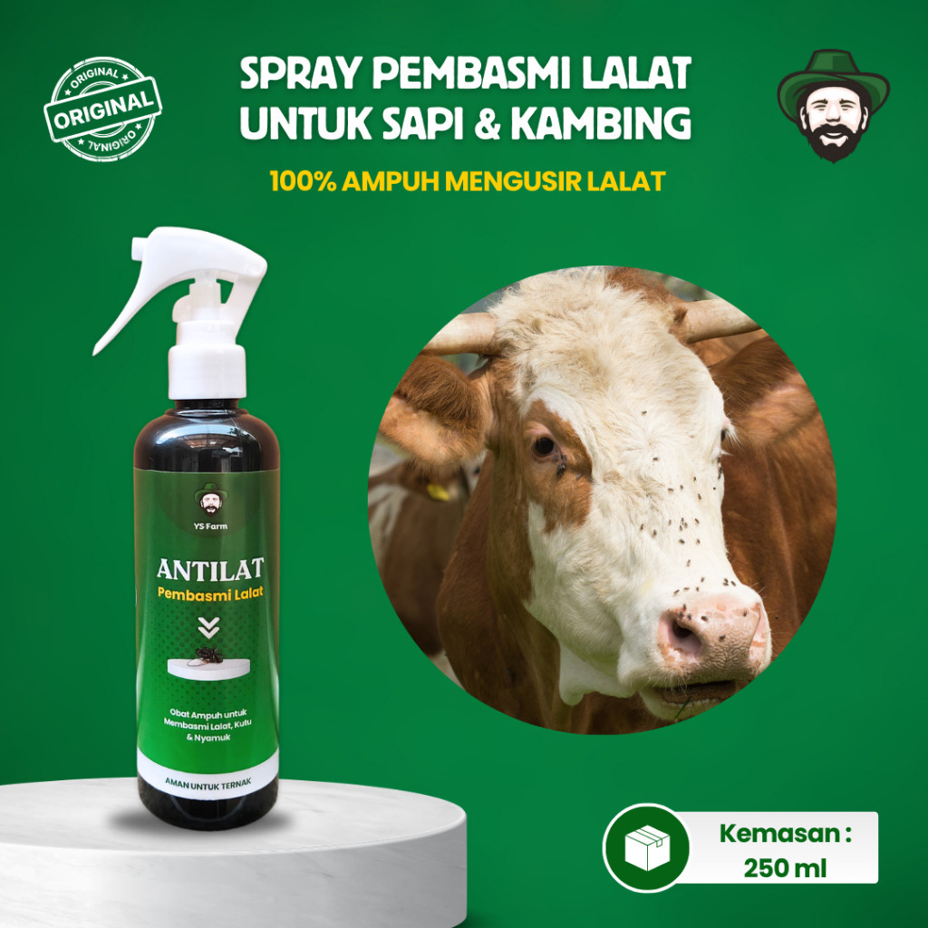 ANTILAT Spray Obat Lalat untuk Sapi Kambing Pengusir Lalat Kutu Nyamuk Bau Kandang Luka Sapi 250 ml