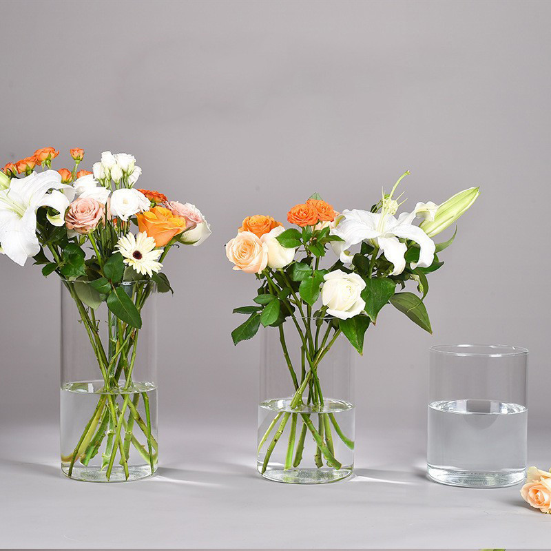 Light Luxury Vase Ins Style Cylinder Vase Transparent Flower Vase Living Room Decoration Vase Househ