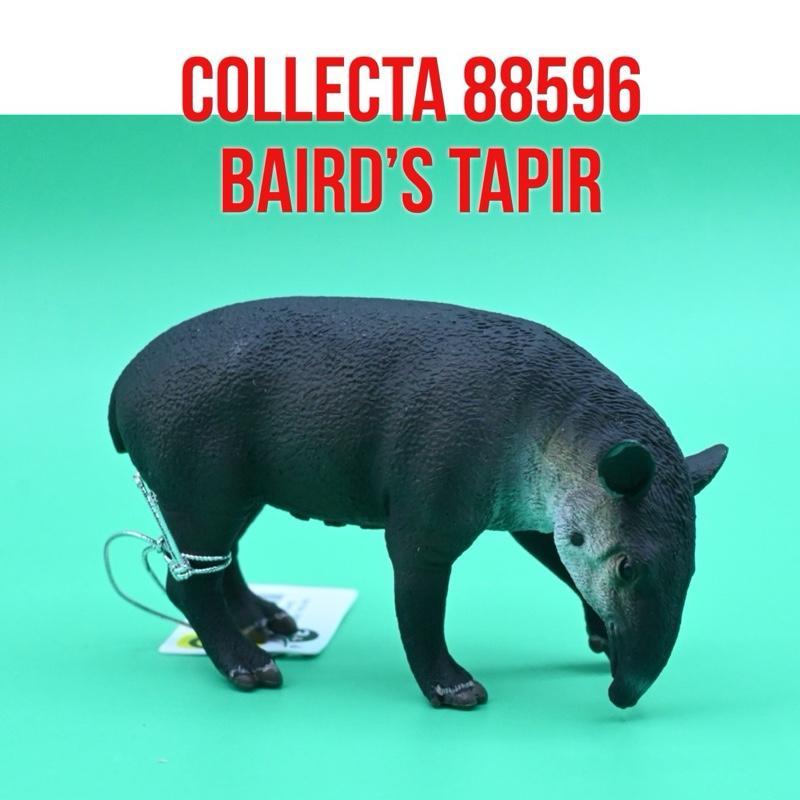 CollectA 88596 Baird’s Tapir Tapir Amerika Tengah Danta Anteburro Tapirus Bairdii | Mainan Figure Bi