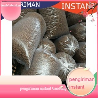 pakan ikan lele , nila , patin ,bawal untuk ikan ukuran kecil  uk 1 mm 500 gram