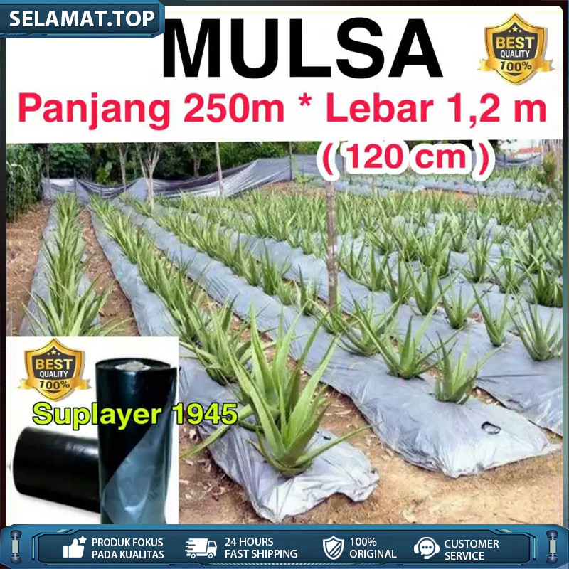 PLASTIK MULSA ( 1 ROLL ) panjang 250 meter * Lebar 120cm (1,2meter)
