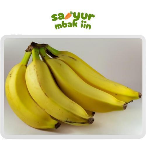 Pisang Raja Pisang Susu Pisang Hijau Buah Pisang Kepok Pisang Ambon Pisang Tanduk Pisang Cavendish 1