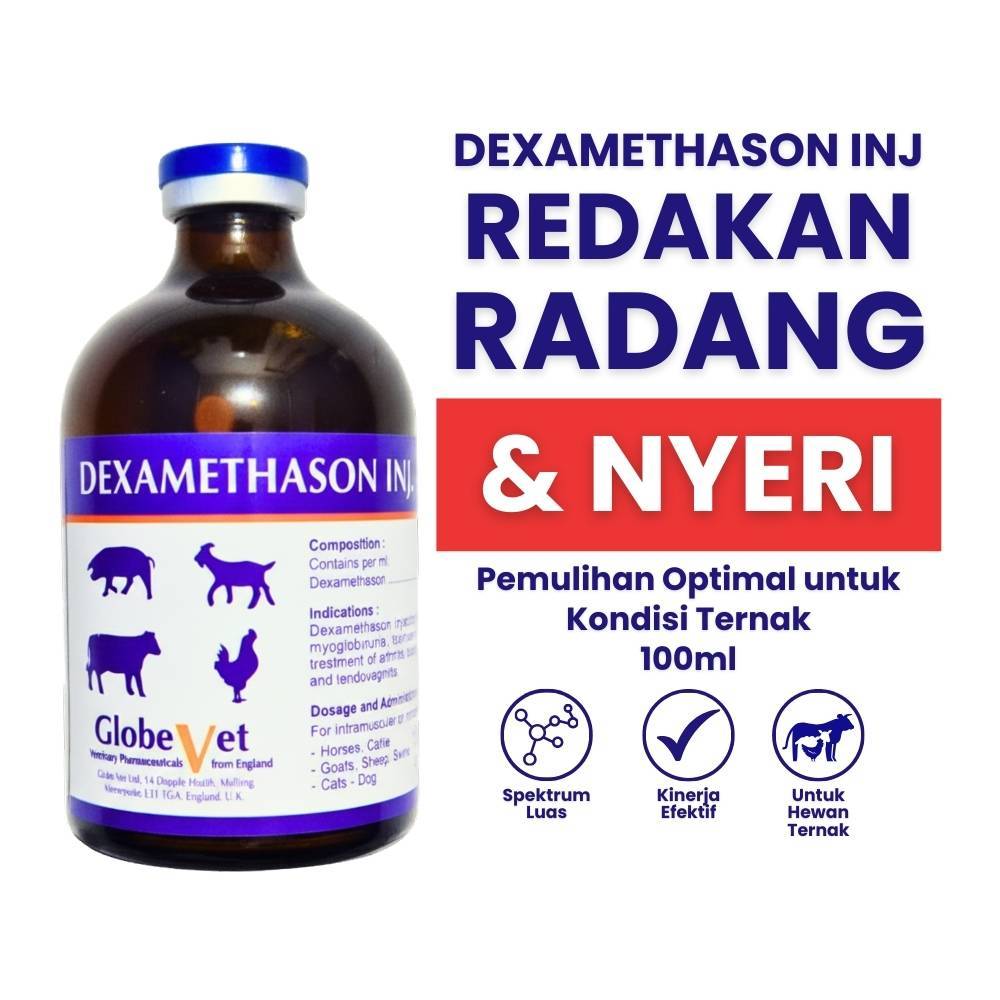 Dexa Globe Vet 100 ml - DEXAMETHASON Injeksi 100 ml