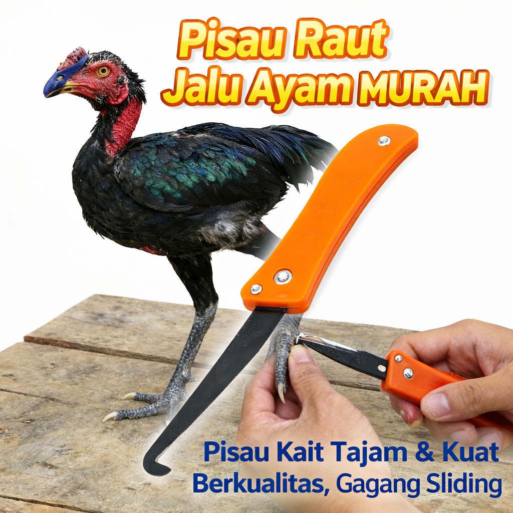 Pisau Raut Jalu Ayam Murah – Pisau Kait Tajam & Kuat Berkualitas, Gagang Sliding