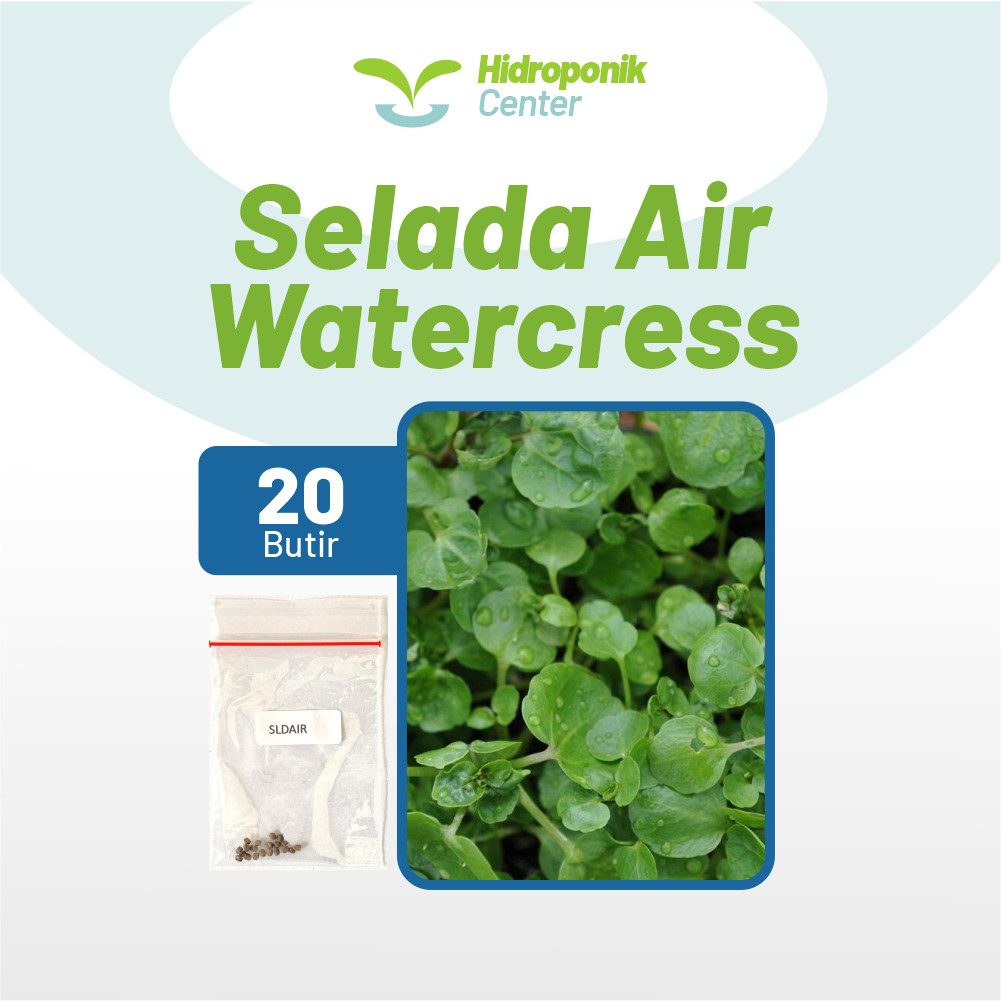 HIDROPONIK CENTER - Benih Selada Air Watercress Unggul, Bibit Super Selada Air Bibit Mudah Tumbuh
