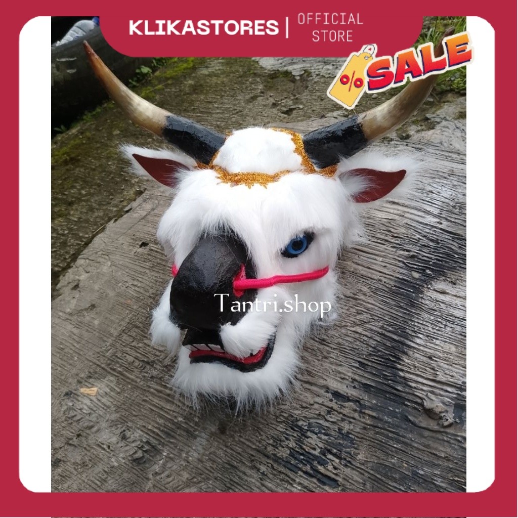 BANTENGAN BULU KOREA - BANTENGAN  - BANTENGAN MBEROT - BANTENG 1,5 Kil - BANTENGAN - BANTENGAN VIRAL