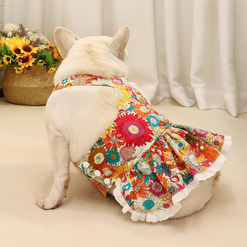 Anjing Bulldog Prancis, Bulldog Berbadan Pendek, Gaun Musim Panas untuk Anjing Gemuk