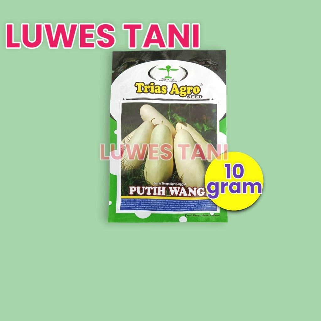 Benih Timun Suri Putih Wangi Kemasan 10 Gram